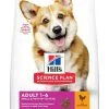 Hill's Hill’s Science Plan Adult Small & Mini Poulet Pour Chien 6kg