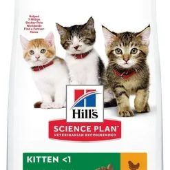 Hill's Science Plan Chat Kitten Poulet
