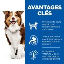 Hill's Science Plan Chien Mature Adult 7+ Medium Poulet 9 Hill's Science Plan Chien Mature Adult 7+ Medium Poulet -Hill’s Soldes Magasin 1644426283170 full