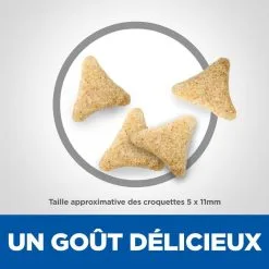 Hill's Science Plan Chat Hairball Adult -Hill’s Soldes Magasin 1645632711856 full