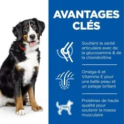 Hill's Science Plan Chien Adult Large Breed Poulet -Hill’s Soldes Magasin 1646043379750 full