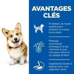 Hill's Science Plan Chien Adult Small&Mini Poulet 8 Hill's Science Plan Chien Adult Small&Mini Poulet -Hill’s Soldes Magasin 1646045286336 full 1