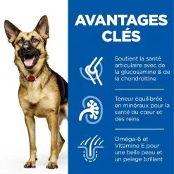 Hill's Science Plan Chien Mature Adult 6+ Large Breed Poulet -Hill’s Soldes Magasin 1646061281509 full 1