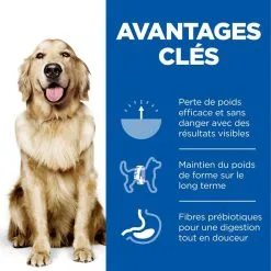 Hill's Science Plan Chien Large Adult Perfect Weight -Hill’s Soldes Magasin 1646068880784 full