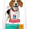 Hill's Science Plan Chien Adult Perfect Weight Medium Poulet