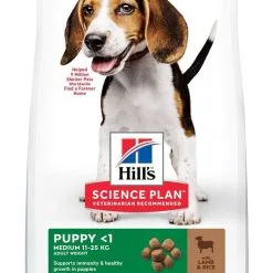 Hill's Science Plan Chien Puppy Medium Agneau