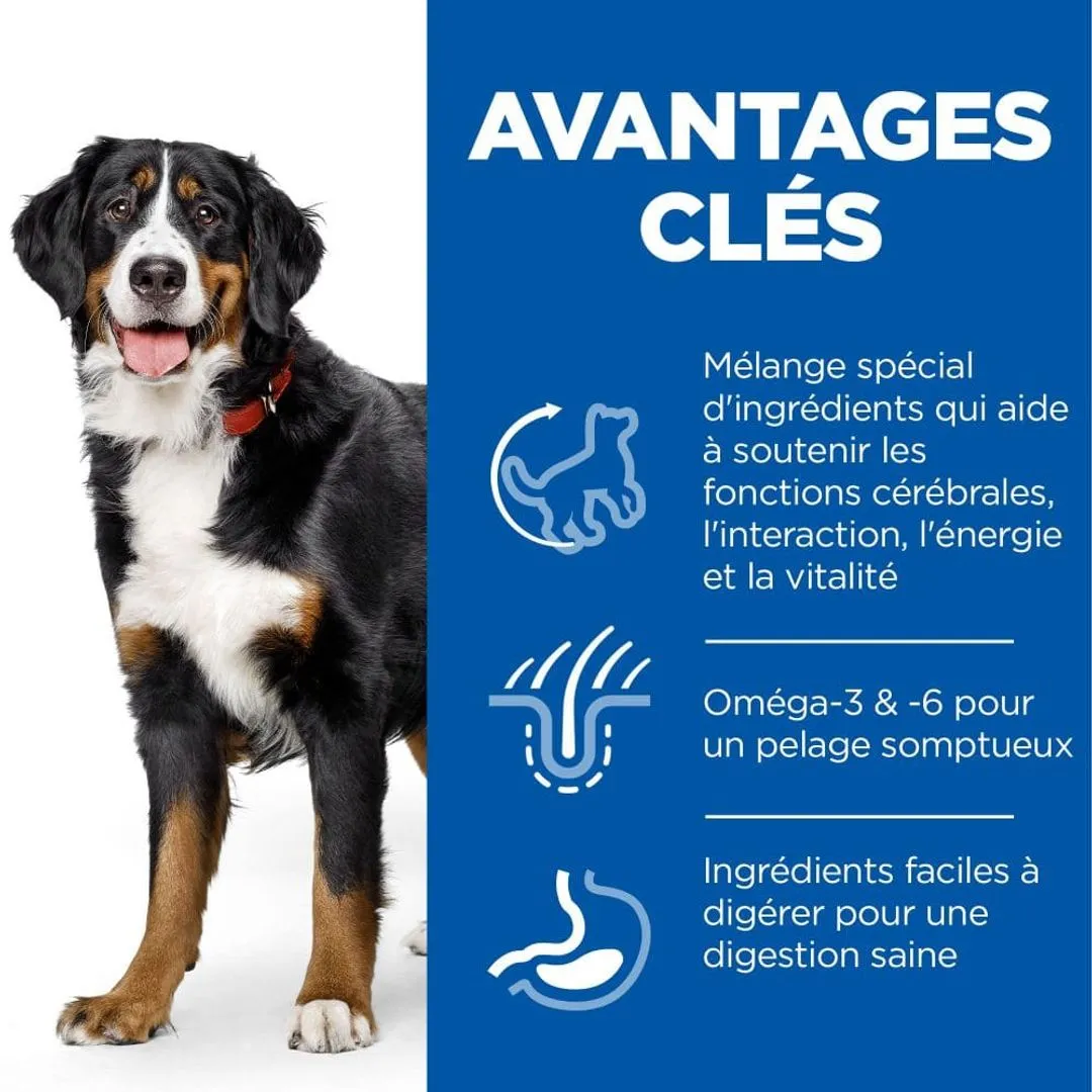 Hill's Science Plan Chien Mature Adult 6+ Senior Vitality Large Breed Poulet 3 Hill's Science Plan Chien Mature Adult 6+ Senior Vitality Large Breed Poulet – Image 3