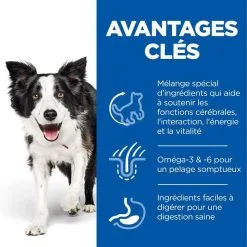 Hill's Science Plan Chien Mature Adult 7+ Senior Vitality Medium Poulet 7 Hill's Science Plan Chien Mature Adult 7+ Senior Vitality Medium Poulet -Hill’s Soldes Magasin 1646152178617 full