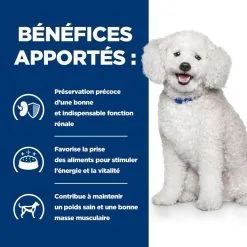 Hill's Prescription Diet Chien K/d Kidney Early Stage -Hill’s Soldes Magasin 1648744660029 full