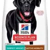 Hill's Science Plan Chien Adulte Large Perfect Weight & Active Mobility