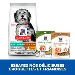 Hill's Science Plan Chien Adulte Medium Perfect Weight & Active Mobility 10 Hill's Science Plan Chien Adulte Medium Perfect Weight & Active Mobility -Hill’s Soldes Magasin 1649321737697 full