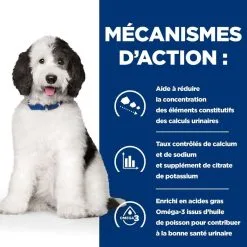 Hill's Prescription Diet Chien C/d Urinary Multicare Mijotés Poulet & Légumes 12 Hill's Prescription Diet Chien C/d Urinary Multicare Mijotés Poulet & Légumes -Hill’s Soldes Magasin 1654247507662 full