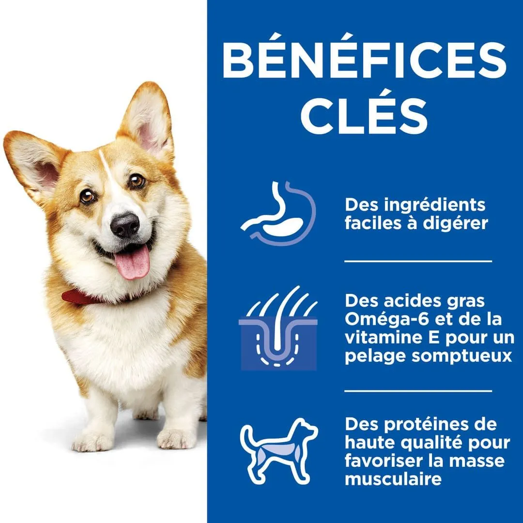 Hill's Hill’s Science Plan Chien Adulte Small & Mini Healthy Cuisine Mijoté Poulet & Bœuf 9 Hill's Hill’s Science Plan Chien Adulte Small & Mini Healthy Cuisine Mijoté Poulet & Bœuf – Image 9