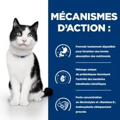 Hill's I/d Digestive Care - Prescription Diet - Feline - Boîte -Hill’s Soldes Magasin 1LCYbW7jjYbtHqYW3CjhcLJUHvMdQc metaNTI3NDIwMzk5MTZfMl9GUi5qcGc