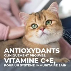 Hill's Science Plan Young Adult Sterilised - Canard - 1,5 Kg -Hill’s Soldes Magasin 1ac44edf39a1bd1afa61bc15a6ae58d6909bfda31cf2f55f0cbe420dfe8dd70c