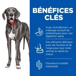 Hill's Science Plan Chien Large Breed Perfect Digestion -Hill’s Soldes Magasin 2 full 1