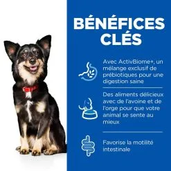 Hill's Science Plan Chien Small & Mini Perfect Digestion -Hill’s Soldes Magasin 2 full 3