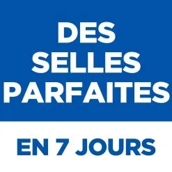 Hill's Science Plan Chien Perfect Digestion - Boîtes -Hill’s Soldes Magasin 4 full 4