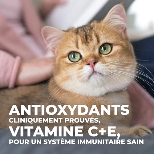 Hill's Science Plan Young Adult Sterilised - Poulet - 1,5 Kg 10 Hill's Science Plan Young Adult Sterilised - Poulet - 1,5 Kg – Image 10