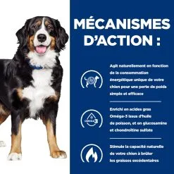 Hill's Prescription Diet Metabolic + Mobility Croquettes Pour Chien Au Poulet 4 Kg 9 Hill's Prescription Diet Metabolic + Mobility Croquettes Pour Chien Au Poulet 4 Kg -Hill’s Soldes Magasin 52742000633 2 FR 1