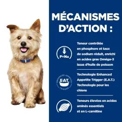 Hill's Prescription Diet K/D Mijoté Au Poulet Et Légumes Pour Chien 12x354g -Hill’s Soldes Magasin 52742021386 2 FR