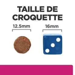 Hill's Prescription Diet Gastrointestinal Biome Croquettes Pour Chien Au Poulet - 1,5Kg -Hill’s Soldes Magasin 52742026855 4 FR 1