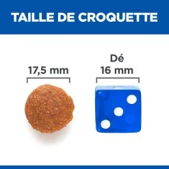 Hill's Science Plan No Grain Adult Large Breed Croquettes Sans Céréales Pour Chien Adulte De Grande Race Au Poulet - 14kg -Hill’s Soldes Magasin 52742037233 5 science plan chien adult large no grain croquettes poulet