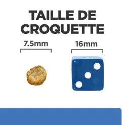 Hill's Prescription Diet Derm Complete Mini Croquettes Pour Petit Chien - 1 Kg -Hill’s Soldes Magasin 52742038797 4 FR