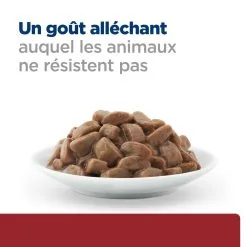Hill's Prescription Diet I/D AB+ Sachets Pour Chat Au Saumon - 12 X 85g -Hill’s Soldes Magasin 52742040257 4 FR