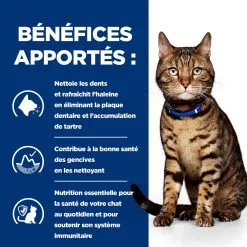 Hill's Prescription Diet T/d Dental Croquettes Pour Chat Au Poulet 3kg 9 Hill's Prescription Diet T/d Dental Croquettes Pour Chat Au Poulet 3kg -Hill’s Soldes Magasin 52742041995 3 FR 1