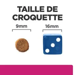 Hill's Prescription Diet Gastrointestinal Biome Croquettes Pour Chat Au Poulet 3kg -Hill’s Soldes Magasin 52742042084 4 FR
