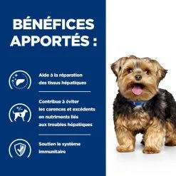 Hill's Prescription Diet L/D Liver Croquettes Pour Chien 10 Kg 10 Hill's Prescription Diet L/D Liver Croquettes Pour Chien 10 Kg -Hill’s Soldes Magasin 52742042459 3 FR