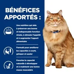 Hill's Prescription Diet K/D J/D Kidney + Mobility Croquettes Pour Chat Au Poulet - 3Kg -Hill’s Soldes Magasin 52742044767 3 FR 1