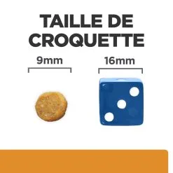 Hill's Prescription Diet K/D J/D Kidney + Mobility Croquettes Pour Chat Au Poulet - 3Kg -Hill’s Soldes Magasin 52742044767 4 FR 1