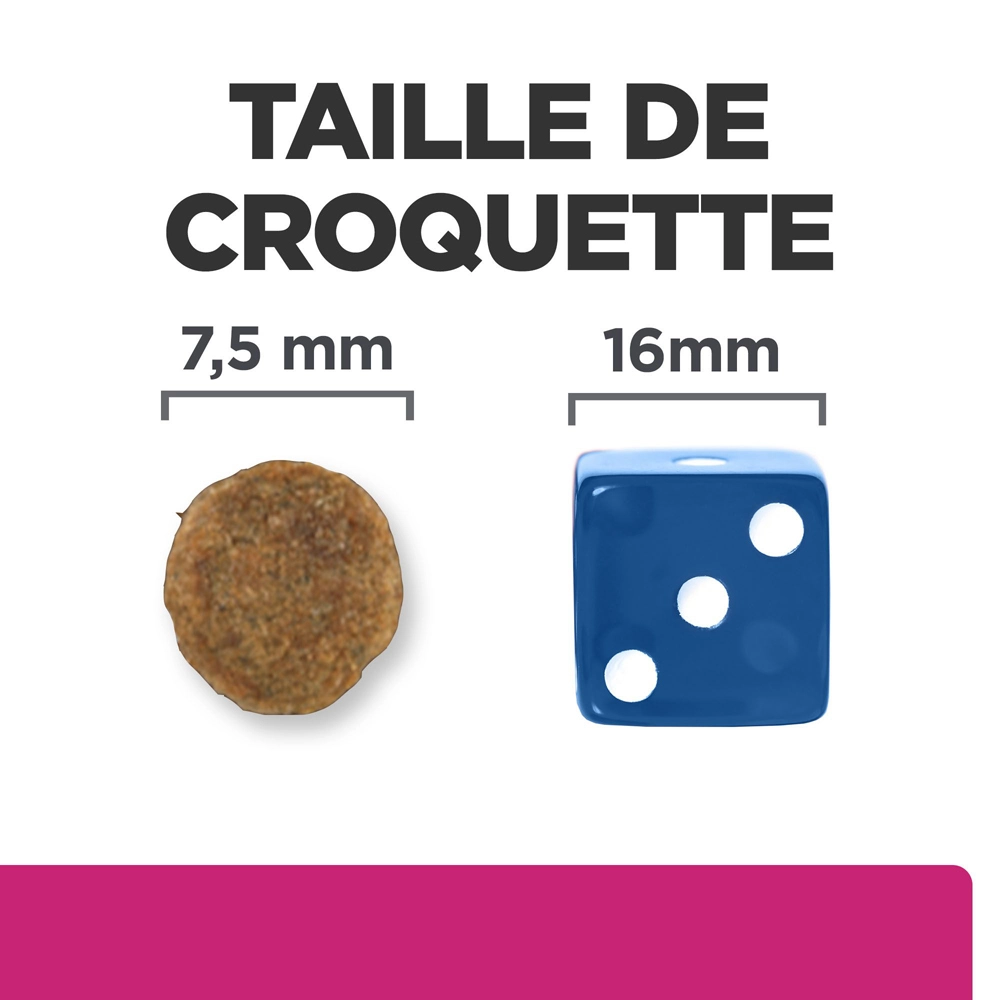 Hill's Prescription Diet Gastrointestinal Biome Mini Croquettes Pour Petit Chien Au Poulet 6 Kg 5 Hill's Prescription Diet Gastrointestinal Biome Mini Croquettes Pour Petit Chien Au Poulet 6 Kg – Image 5
