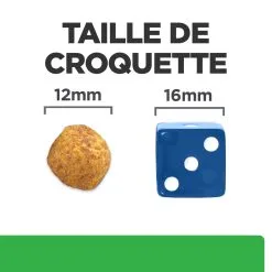 Hill's Prescription Diet R/d Weight Loss Croquettes Pour Chien Au Poulet 10 Kg -Hill’s Soldes Magasin 52742047256 4 FR