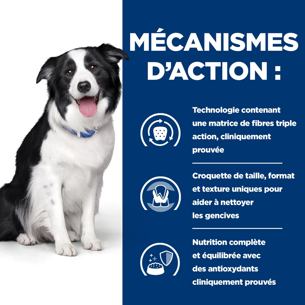 Hill's Prescription Diet T/D Dental Care Croquettes Pour Chien Au Poulet - 10 Kg 3 Hill's Prescription Diet T/D Dental Care Croquettes Pour Chien Au Poulet - 10 Kg – Image 3