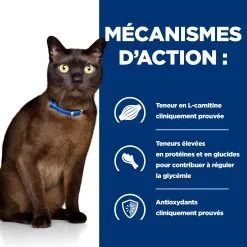 Hill's M/d Glucose / Weight Management - Prescription Diet - Feline 15 Hill's M/d Glucose / Weight Management - Prescription Diet - Feline -Hill’s Soldes Magasin a6KDz0U48mwcDWN8uuIwl0GJXqlB3D metaNTI3NDIwNDgyMDhfMl9GUi5qcGc