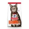 Hill's Hill’s Science Plan Feline Adult Agneau 10kg