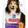 Hill's Hill’s Science Plan Adult Sensitive Stomach & Skin Medium Poulet 2,5kg