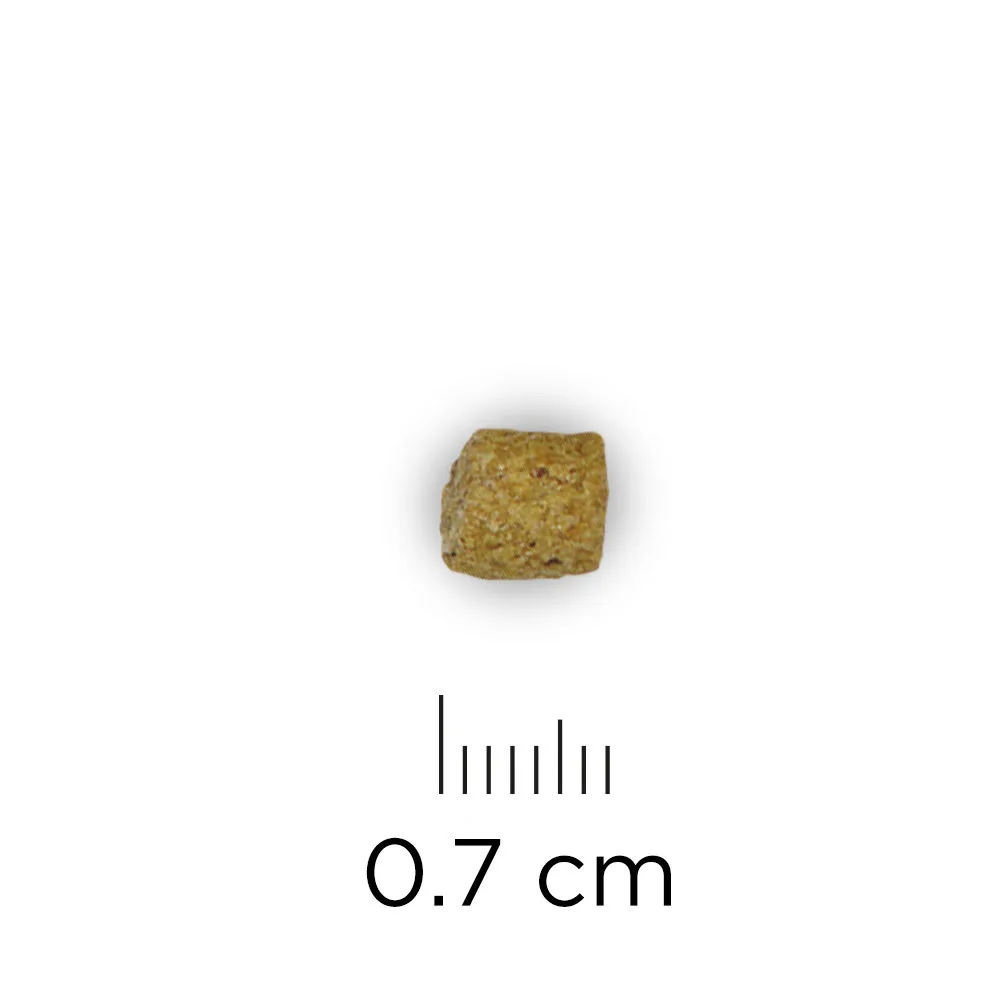 Hill's Prescription Diet W/d Low Fat/Diabetes/Colitis - Chat 10 Hill's Prescription Diet W/d Low Fat/Diabetes/Colitis - Chat – Image 10